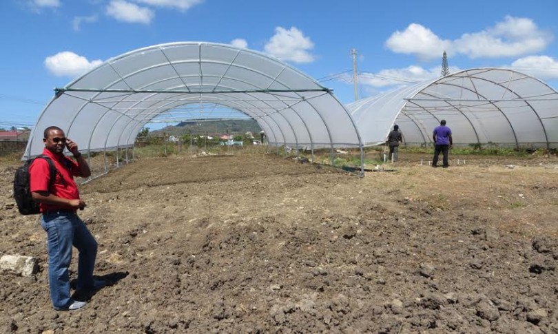 Food For The Poor Tree Planting Project takes Root in St. Lucia