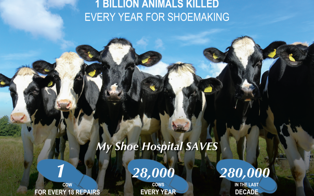 Saving Animals In the Leather Industry Through Shoe Repair - My Shoe  Hospital
