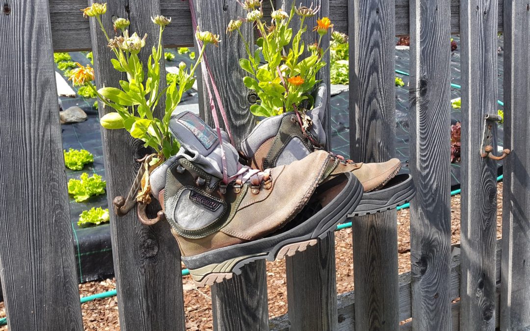 the shoe cobbler